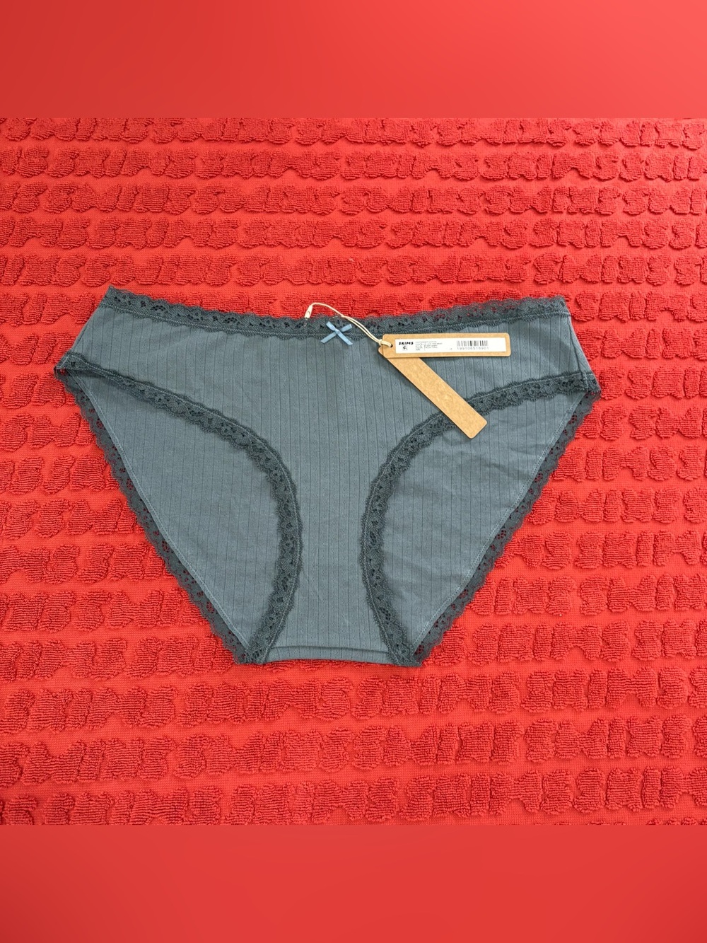 π©Άπ SKIMS Lightweight Cotton Pointelle Lace Trim Brief | Zircon Tonal | L - Picture 4 of 7